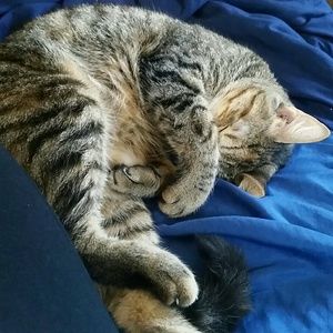 Meet your Posher, Victoria